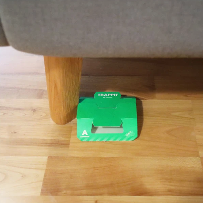 Unikátna pasca na ploštice s feromónmi